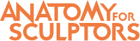 Anatomy For Sculptors logo