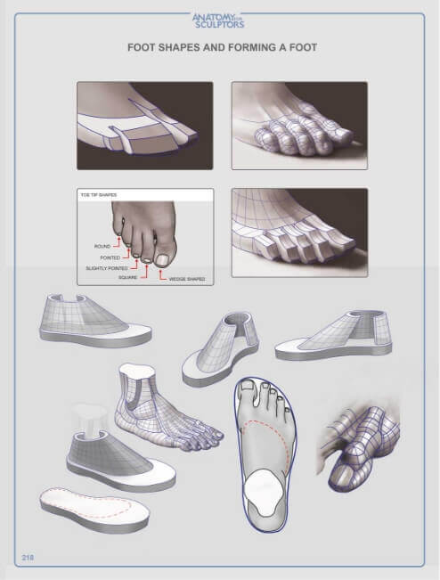 foot shapes and forming a foot