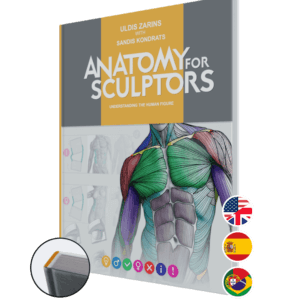 anatomy for sculptors, understanding the human figure hardcover - all