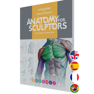 anatomy for sculptors, understanding the human figure paperback