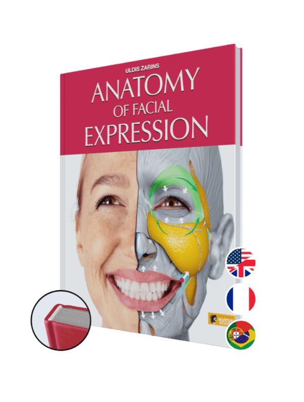 anatomy of facial expression by anatomy for sculptors hardcover - all
