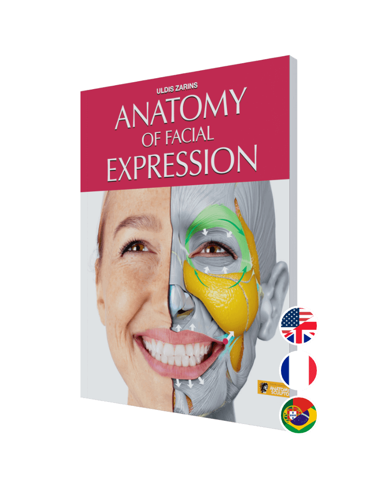 Anatomy Of Facial Expression Paperback By Anatomy For Sculptors   AFE Paperback All 