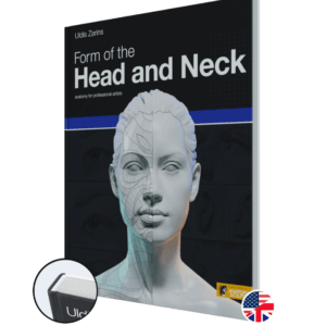 form of the head and neck by anatomy for sculptors hardcover - all