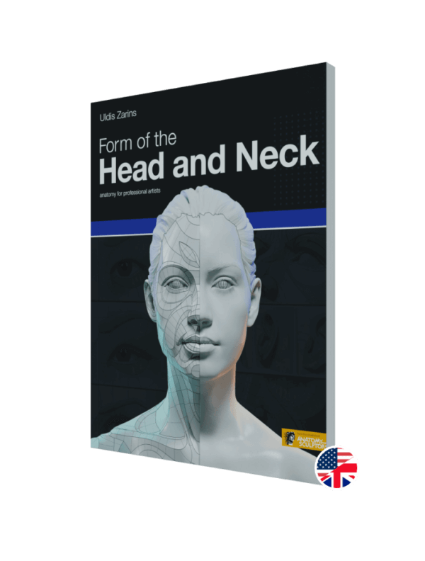 form of the head and neck by anatomy for sculptors paperback - all