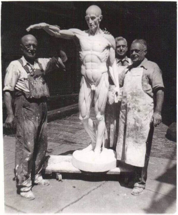 Ecorche - muscles and motions | by Anatomy For Sculptors