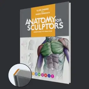 anatomy-for-sculptors-understanding-the-human-figure-hardcover