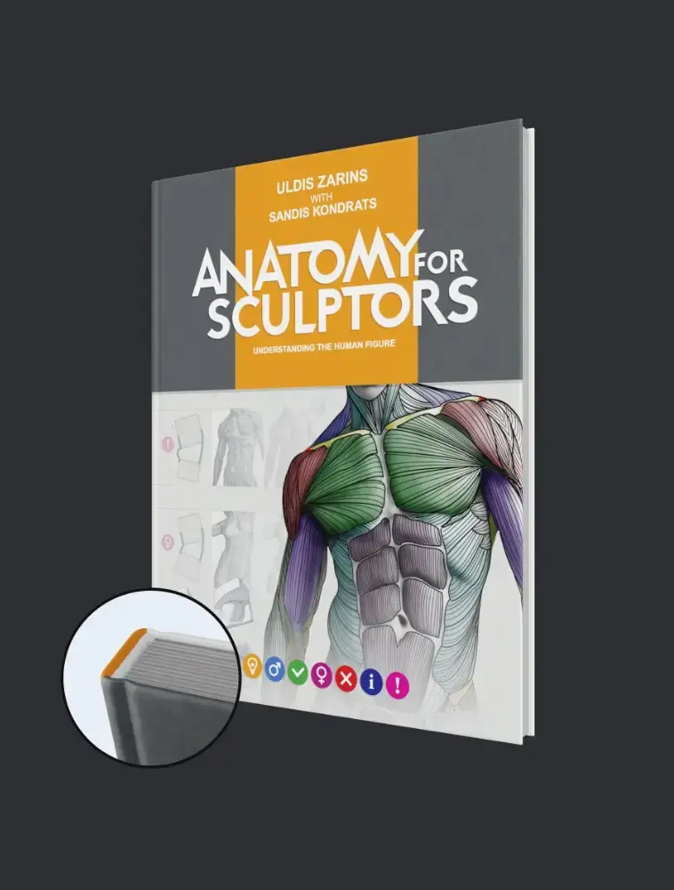 Understanding the Human Figure Hardcover | by Anatomy For Sculptors®