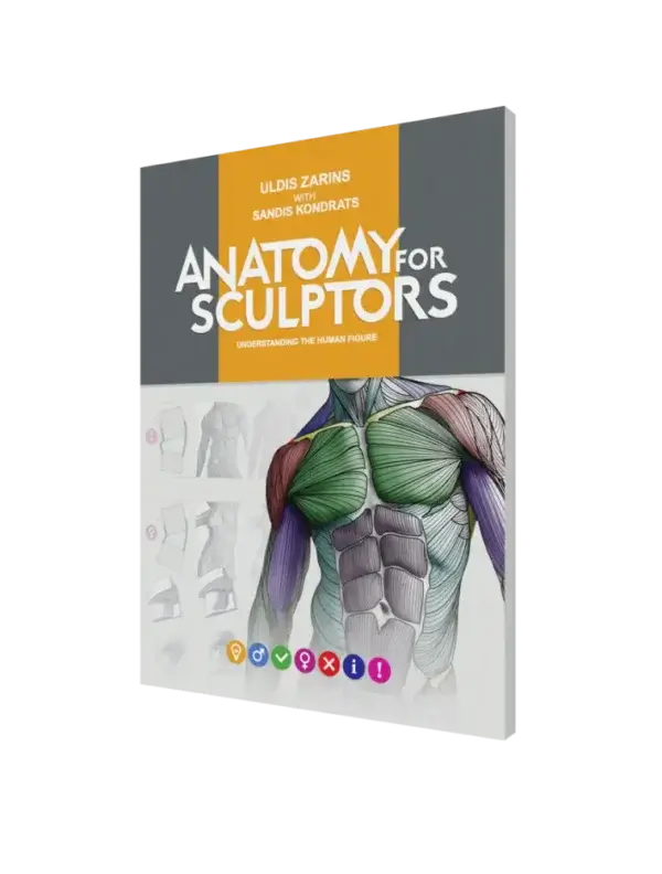 anatomy-for-sculptors-understanding-the-human-figure-paperback