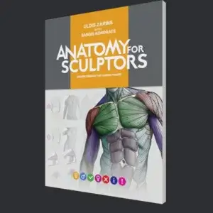 anatomie-pour-sculpteurs-comprendre-la-figure-humaine-paperback