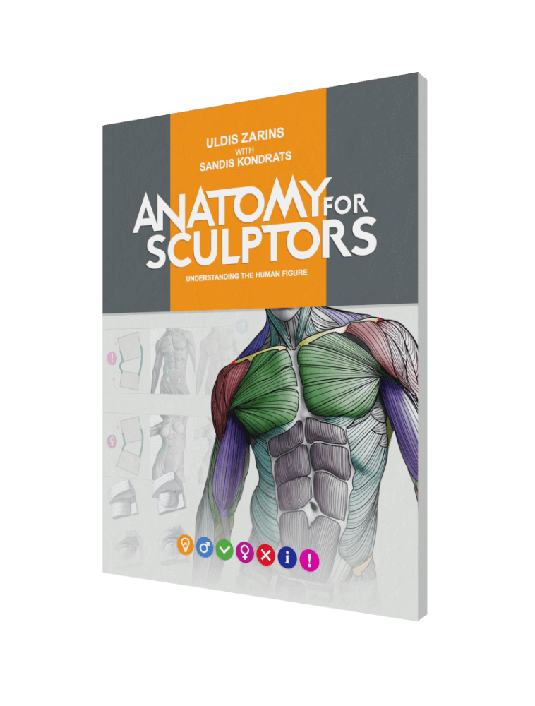 anatomy for sculptors understanding the human figure paperback