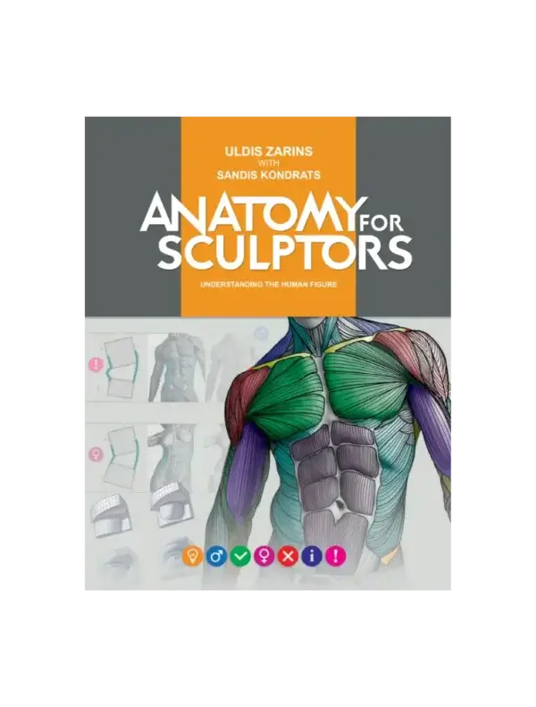 anatomy-for-sculptors-understanding-the-human-figure-pdf-ebook