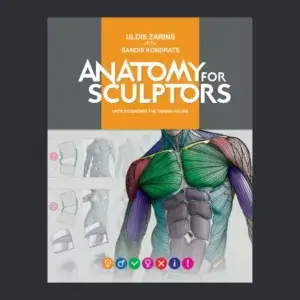 anatomy-for-sculptors-understanding-the-human-figure-pdf-ebook