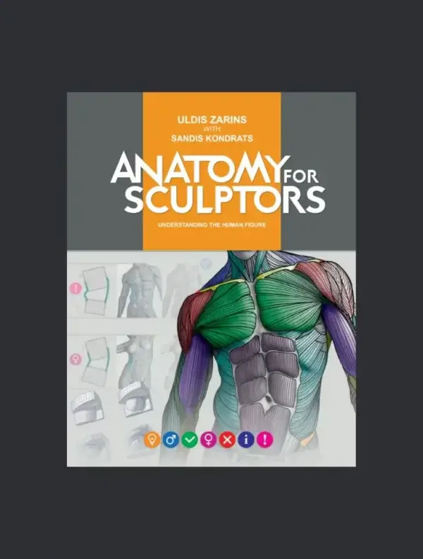 anatomy-for-sculptors-understanding-the-human-figure-pdf-ebook
