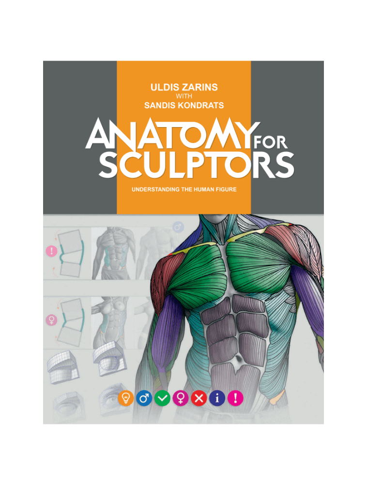Understanding the Human Figure PDF | Anatomy For Sculptors
