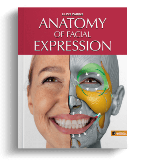 anatomy of facial expressions by anatomy for sculptors