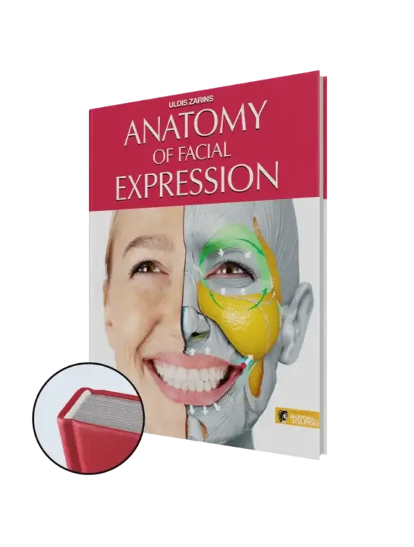 anatomie de l'expression faciale-découvert