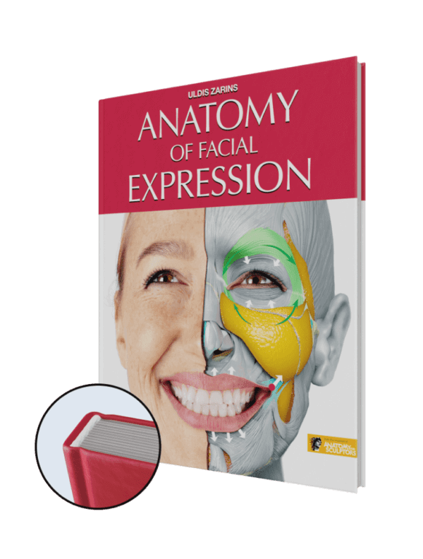 anatomy of facial expression hardcover