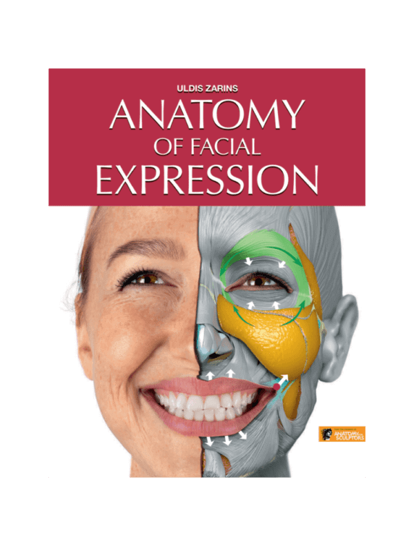 anatomy of facial expression pdf