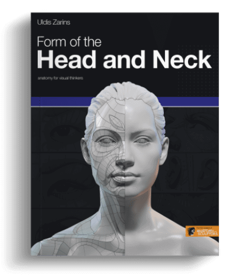 form of the head and neck by anatomy for sculptors