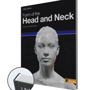 form of the head and neck hardcover