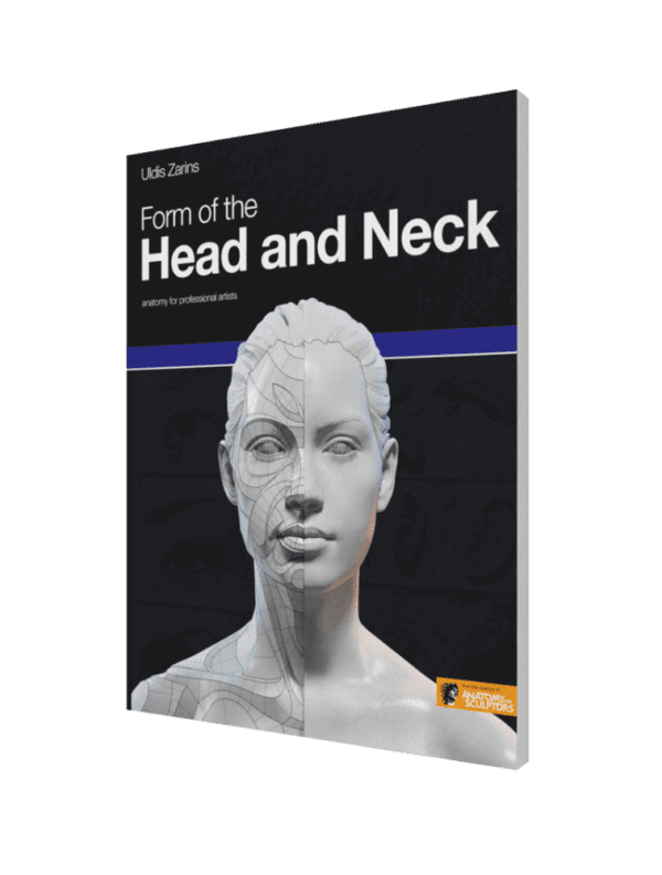 form of the head and neck paperback