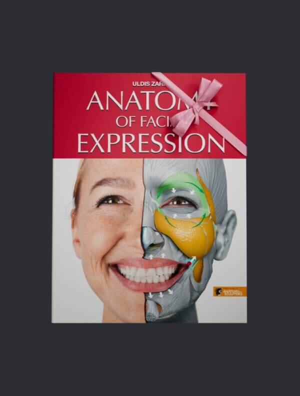 Anatomie de l'expression faciale - PDF eBook