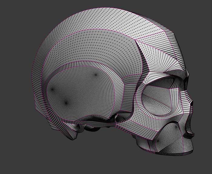 3d-Modellierung eines Schädelmodells