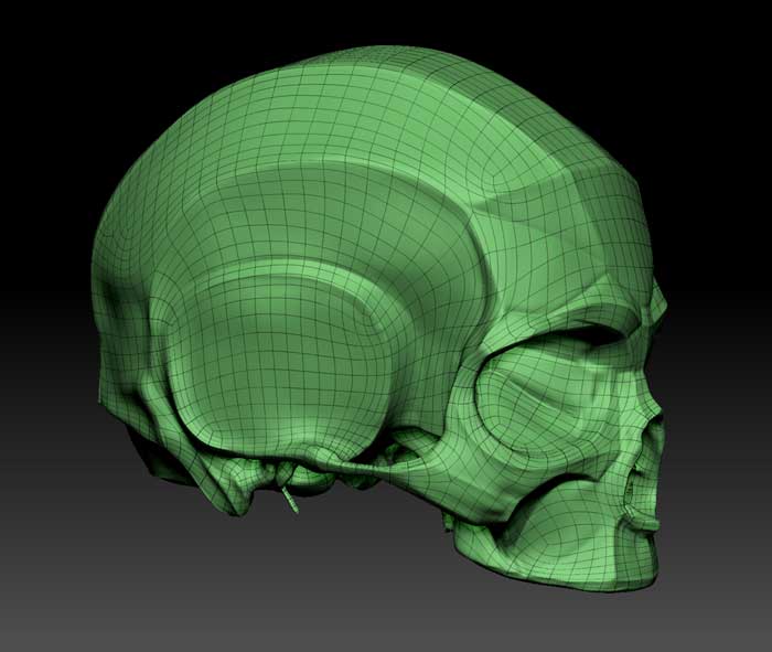 Modelo digital de caveira esculpida em 3D