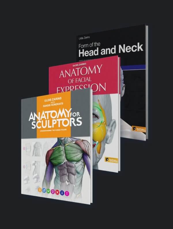 Anatomy-For-Sculptors-Book-series-bundle