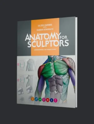 Compreender a figura humana