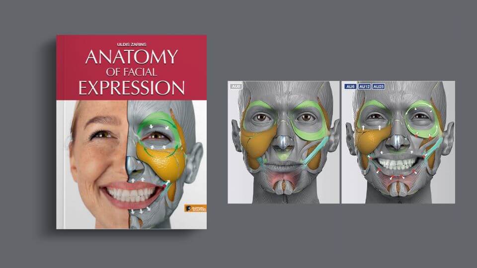 about anatomy of facial expression book 1