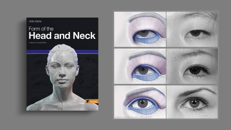 about form of the head and neck book