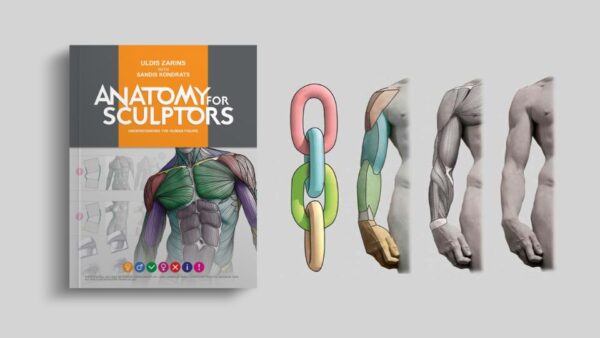 Understanding the Human Figure book | by Anatomy for Sculptors