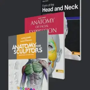 anatomia para escultores - série de livros - pacote