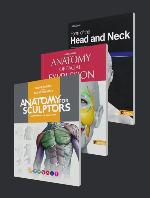anatomie-pour-sculpteurs-série-de-livres-bundle
