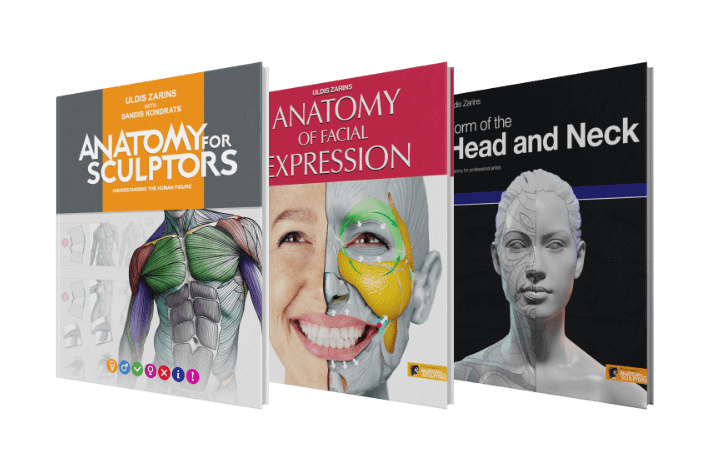 anatomy for sculptors book series bundle