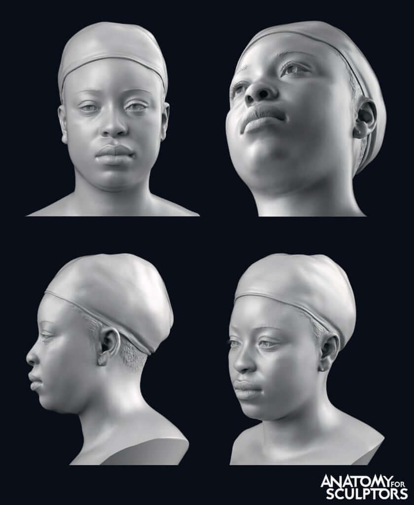 female head and neck scans from multiple angles anatomy for