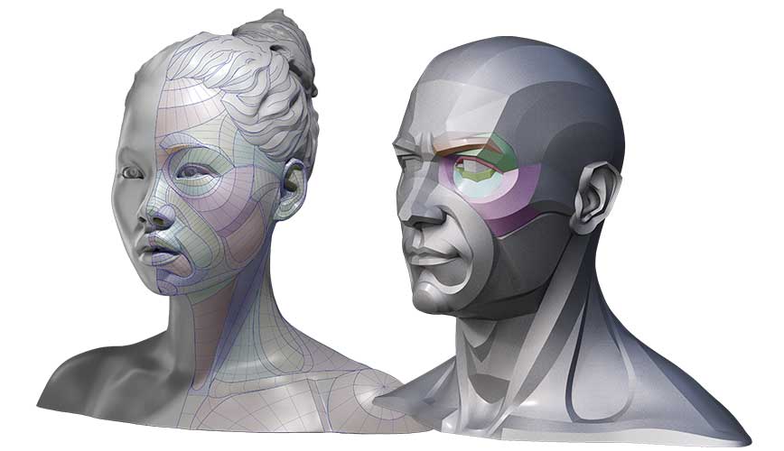 head and neck female and male for artsts anatomy for sculptors