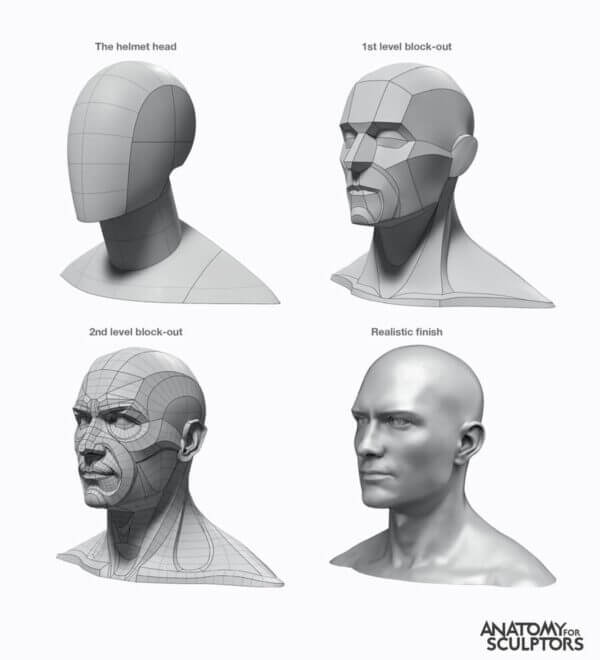 The elements of art form by Anatomy For Sculptors