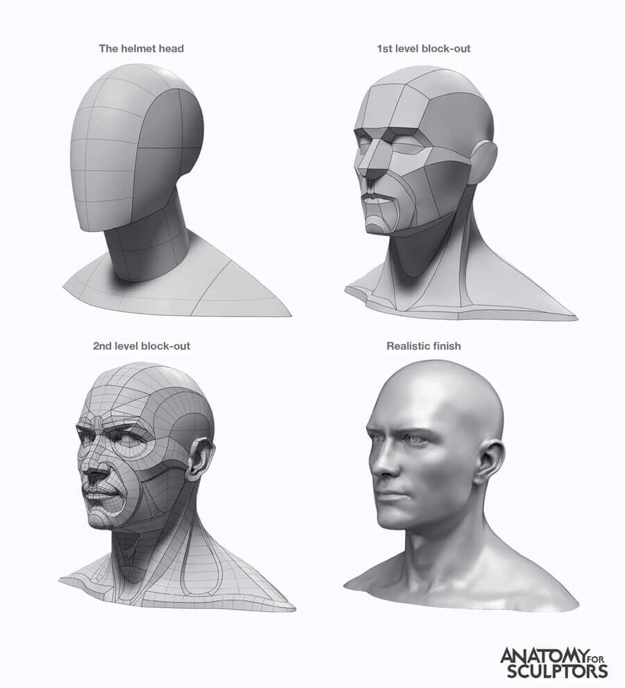 head and neck helmet method anatomy for
