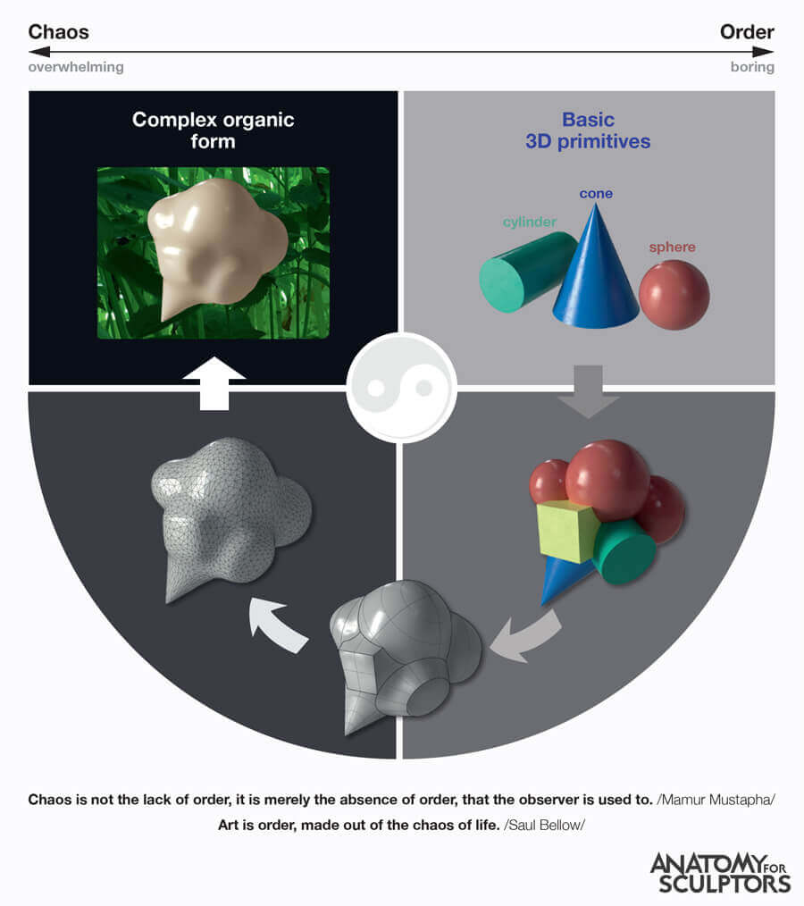 examples of organic shapes in art