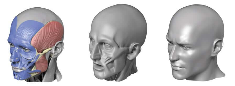 three human heads 3D model renders for 3D artists