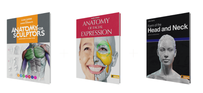 Shop | Anatomy For Sculptors