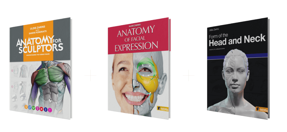 anatomy for sculptors book bundle shop