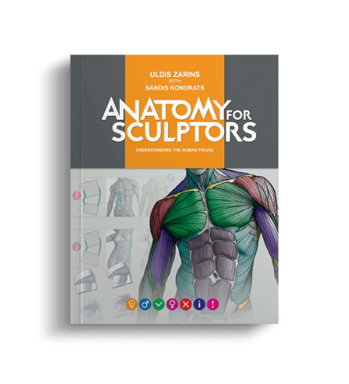 Understanding the Human Figure by Anatomy For Sculptors