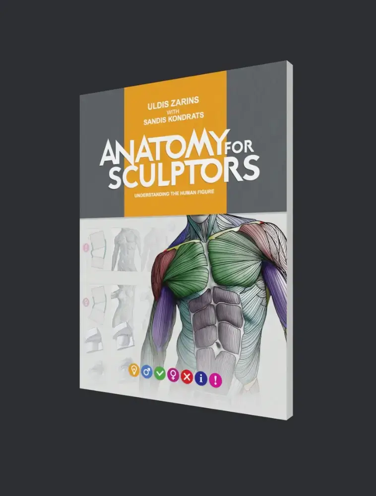 anatomy-for-sculptors-understanding-the-human-figure-paperback-grey-bg