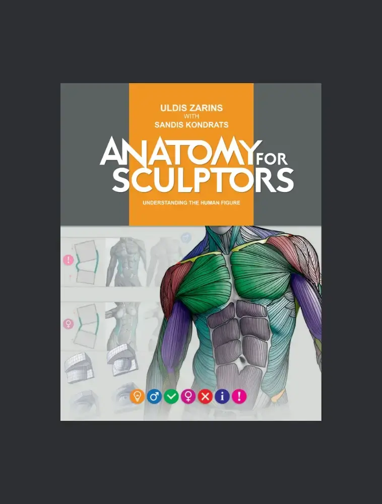 anatomy for sculptors understanding the human figure pdf ebook grey bg