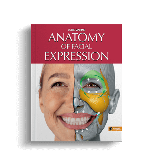 Anatomy of Facial Expression by Anatomy For Sculptors