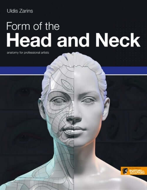 form of the head and neck anatomy for sculptors