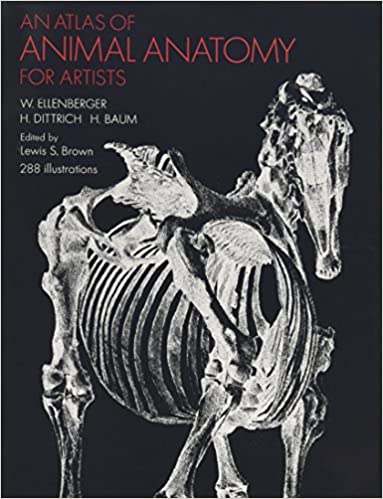 Atlas der Tieranatomie für Künstler Ellenberger Anatomie für Bildhauer